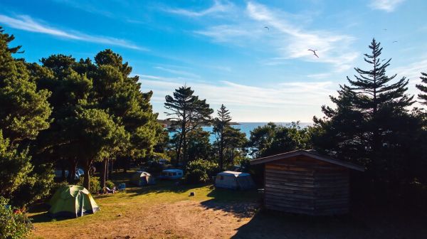Découverte des 5 meilleurs campings en Charente-Maritime